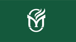 木门类别宣传视频